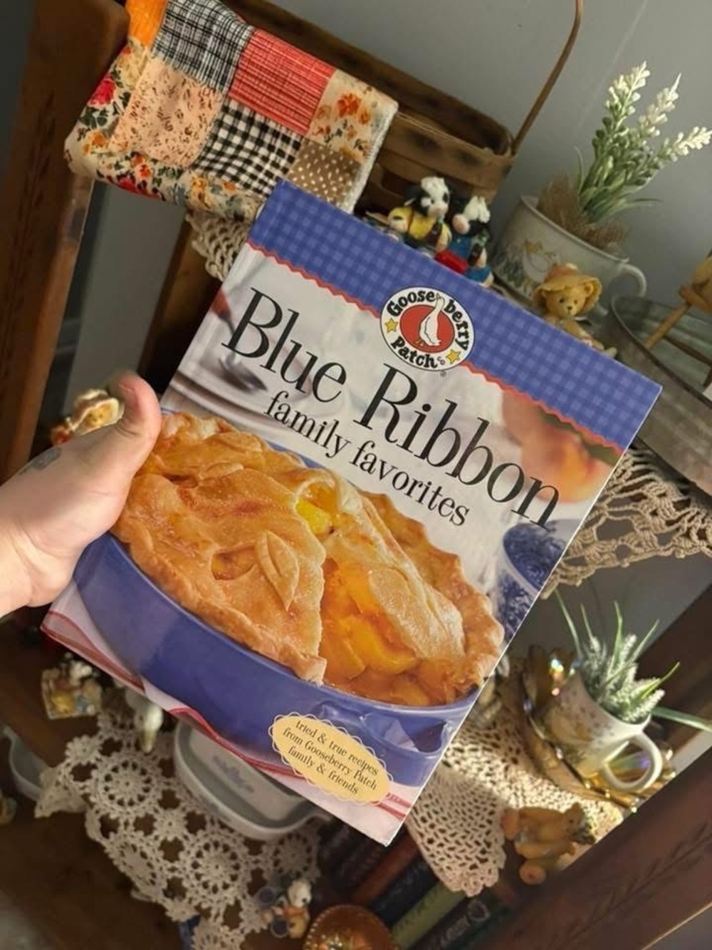 Blue Ribbon Family Favorites cookbook published by Gooseberry Patch